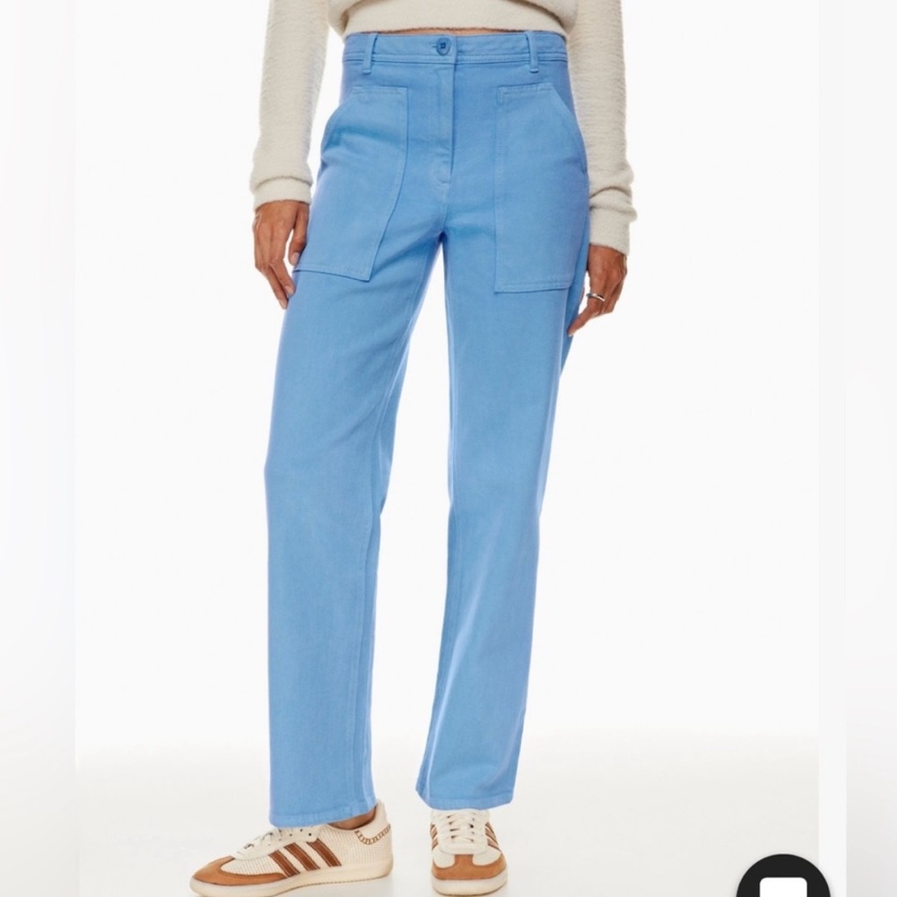 Aritzia Wilfred Free Pants